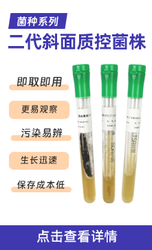 二代斜面质控菌株
