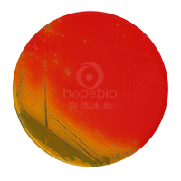 肺炎克雷伯氏菌-志贺氏菌显色培养基/