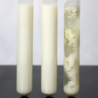 含铁牛奶培养基