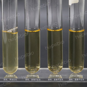 嗜盐性试验-霍乱弧菌非O1-海博