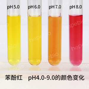 苯酚红 pH4.0-9.0的颜色变化