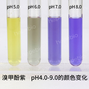 溴甲酚紫 pH4.0-9.0的颜色变化