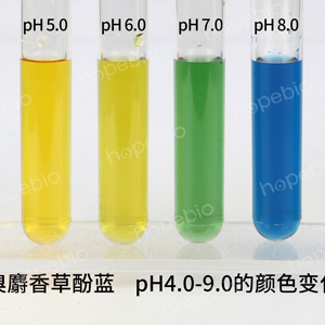 溴麝香草酚蓝 pH4.0-9.0的颜色变化