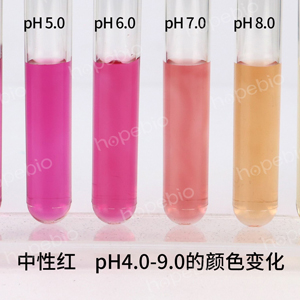中性红 pH4.0-9.0的颜色变化