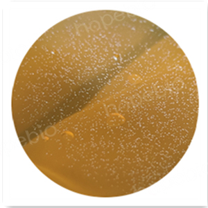 猪肺炎支原体在固体平板上的生长状态——附染色镜检图