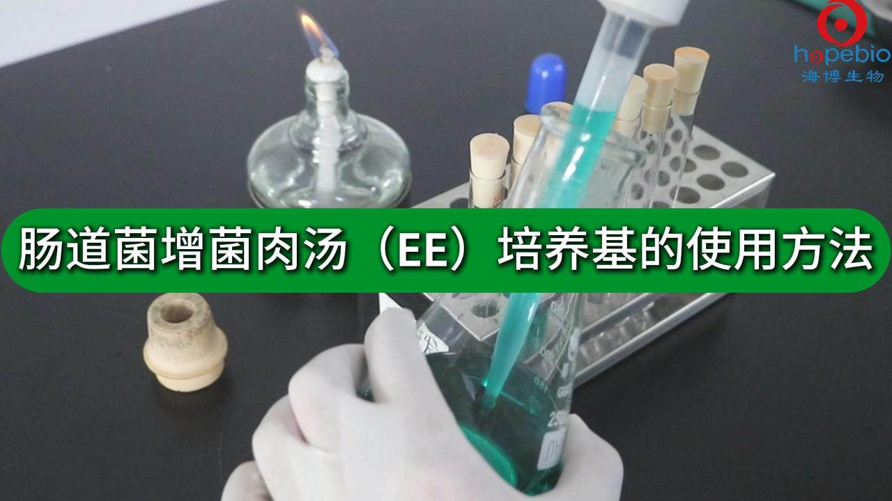 肠道菌增菌肉汤（EE）培养基的使用方法