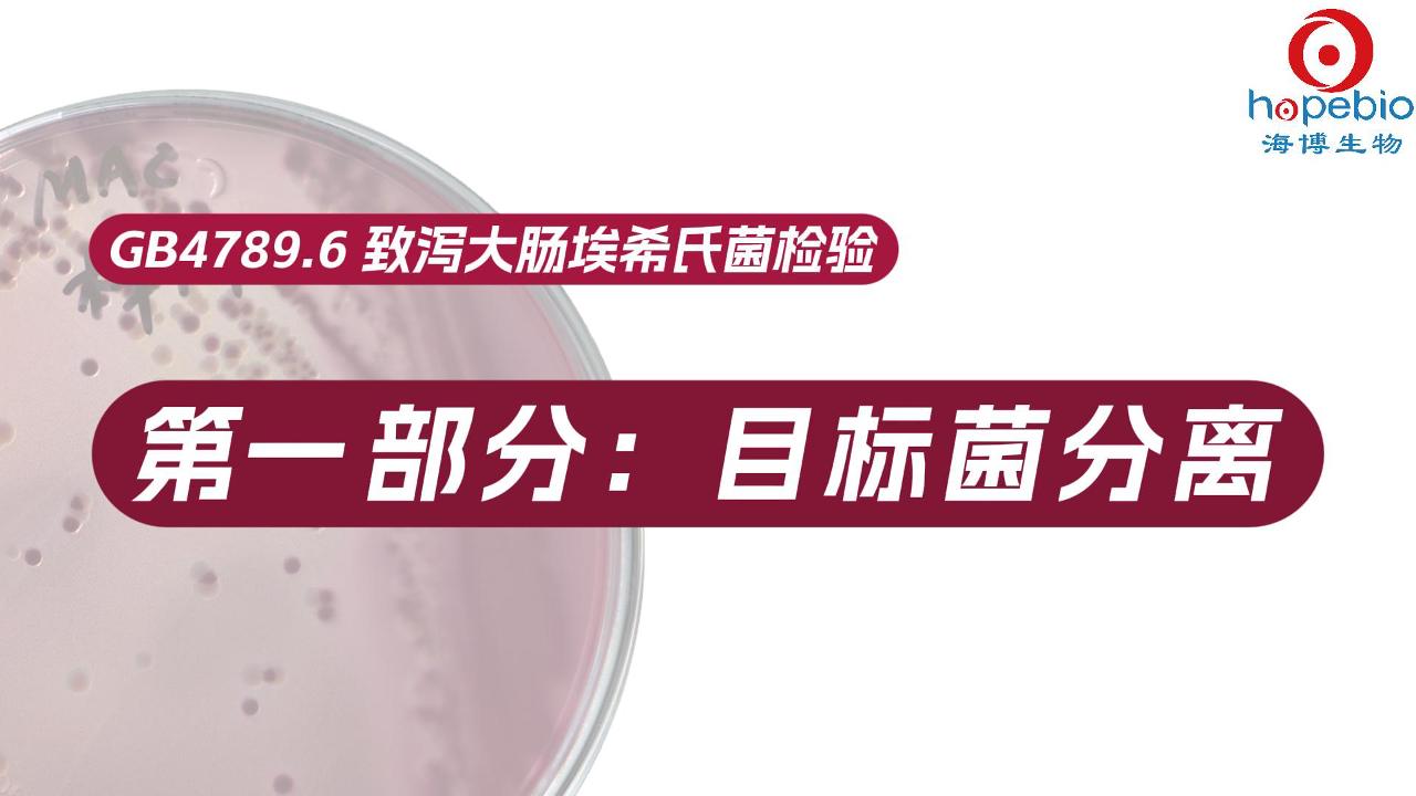 致泻大肠埃希氏菌检验（一）目标菌分离