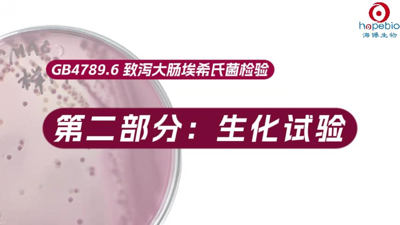 致泻大肠埃希氏菌检验（二）生化试验